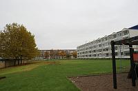  Plænen foran blok 49, næsten uberørt.